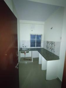 Kitchen Image of 800 Sq.ft 2 BHK Apartment / Flat for rent in Awadhpuri Bhopal for Rs. 8000