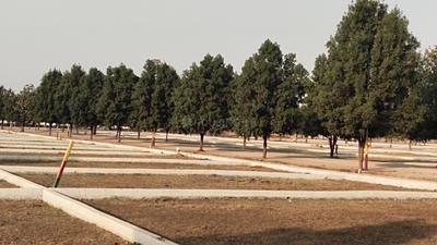 Image of 1500 Sq.ft Residential Plot / Land for sale in Sikola Bhata, Durg for Rs. 1950000