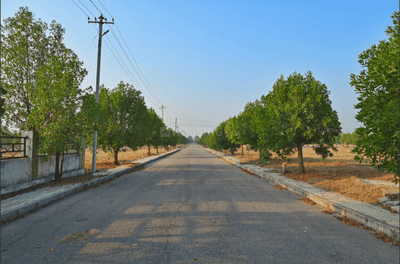 Image of 167 Sq.ft Residential Plot / Land for sale in Dundigal, Hyderabad for Rs. 6200000