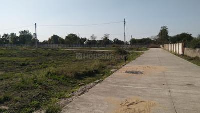 Image of 1760 Sq.ft Residential Plot / Land for sale in Bodri, Bilaspur for Rs. 2640000