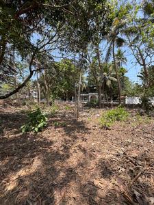 Image of 1250 Sq.ft Residential Plot / Land for sale in Mapusa, Goa for Rs. 44000000