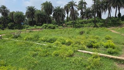 Image of 2860 Sq.ft Residential Plot / Land for sale in Andal, Durgapur for Rs. 600000