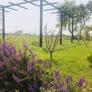Floor Plan Image of 1000 Sq.ft Residential Plot / Land for sale in Chhachhanpairi Raipur for Rs. 2000000