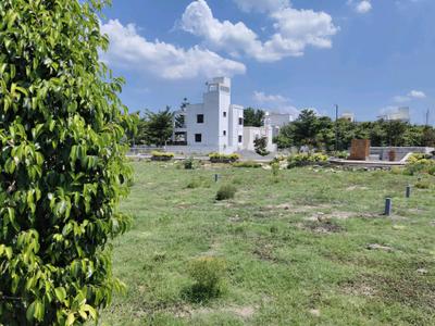 Residential Plot