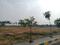 Ibrahimpatnam Plot View 2