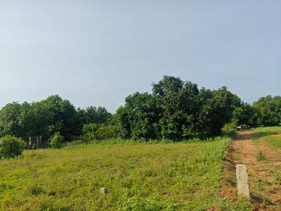 Image of 45302 Sq.ft Residential Plot / Land for sale in Kadavur, Madurai for Rs. 20000000