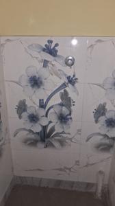 Bathroom Image of 810 Sq.ft 2 BHK Apartment / Flat for sale in Belghoria Kolkata for Rs. 3800000