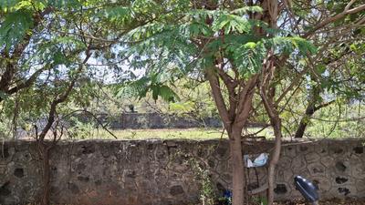 Residential Plot