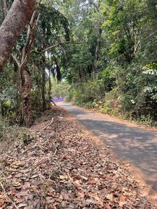 Image of 525 Sq.ft Residential Plot / Land for sale in Tivim, Goa for Rs. 16800000