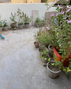 Balcony Image of 650 Sq.ft 1.5 BHK Independent House for rent in Tri Nagar New Delhi for Rs. 20000