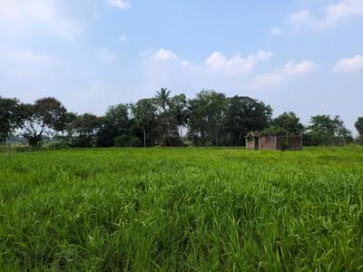 Image of 2160 Sq.ft Residential Plot / Land for sale in Natures Paradise, Joka, Kolkata for Rs. 599999