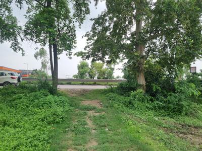 Image of 77500 Sq.ft Residential Plot / Land for sale in Safdarganj, Barabanki for Rs. 124000000