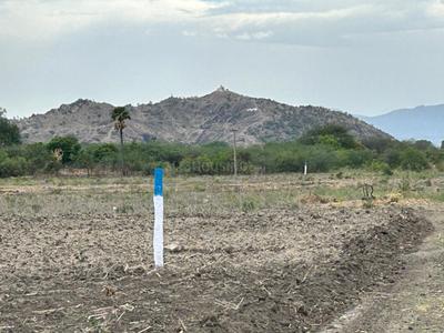 Image of 43560 Sq.ft Residential Plot / Land for sale in Appakkarai, Madurai for Rs. 2500000