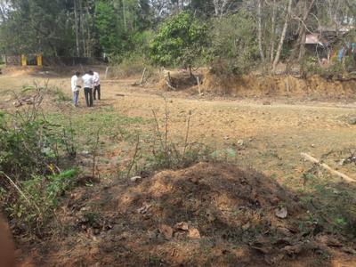 Image of 11330 Sq.ft Residential Plot / Land for sale in Bantwal, Mangalore for Rs. 3500000