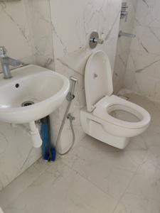 Common Bathroom Image of 650 Sq.ft 1 BHK Apartment / Flat for sale in Hiranandani Regent Hill A B C D And E Wing, Powai Mumbai for Rs. 19000000
