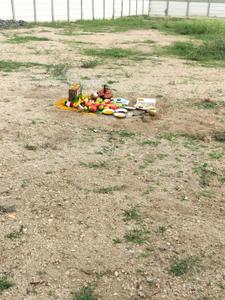 Image of 750 Sq.ft Residential Plot / Land for sale in Annur, Coimbatore for Rs. 1668000