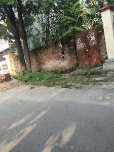 Image of 2152 Sq.ft Residential Plot / Land for sale in Jankipuram Vistar, Lucknow for Rs. 16140000