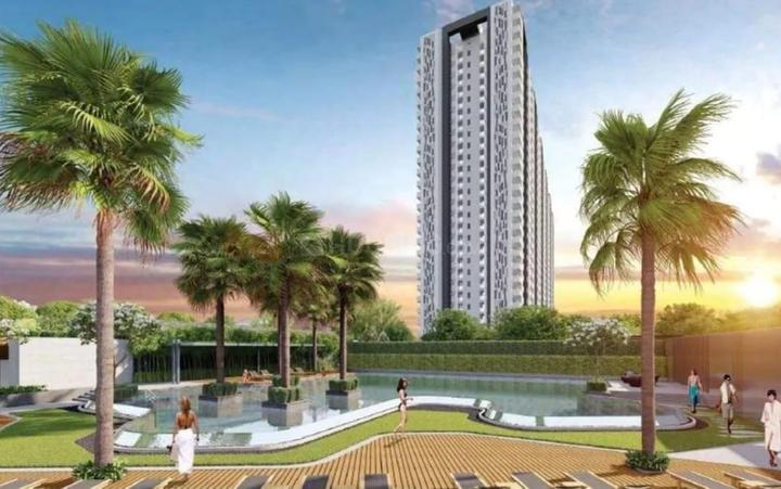 Tulip Yellow Main Image 1