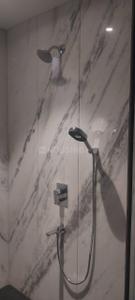 Bathroom Image of 3571 Sq.ft 4 BHK Apartment / Flat for rent in Richards Town Bengaluru for Rs. 220000