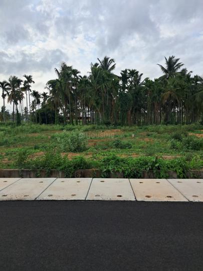 Nadaprabhu Kempegowda Layout Main Image 1