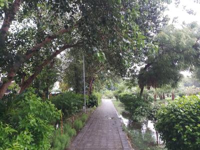 Image of 1055 Sq.ft 2 BHK Builder Floor for sale in Arun Vihar, Sector 37, Noida for Rs. 22000000