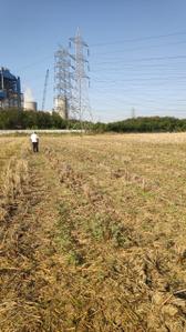 Image of 1900 Sq.ft Residential Plot / Land for sale in Guntupalli, Vijayawada for Rs. 6000000