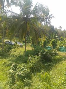 Image of 10890 Sq.ft Residential Plot / Land for sale in Killannur, Thrissur for Rs. 3125000