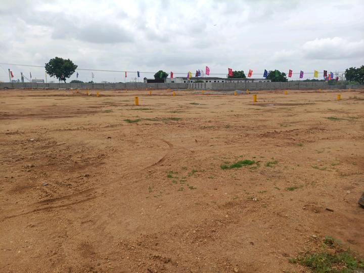 SGD Elite Main Image 1