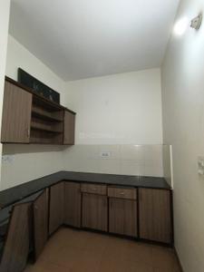 Kitchen Image of 1655 Sq.ft 2 BHK Builder Floor for rent in Sector 2 Panchkula for Rs. 24000