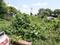 Neelbad Plot View 2