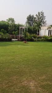 Image of 1500 Sq.ft 3 BHK Farm House for sale in Dkrrish Green Beauty Farms, Sector 135, Noida for Rs. 9000000