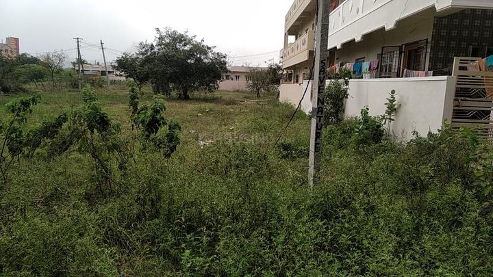 Santhapet Main Image 1