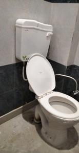 Bathroom Image of 800 Sq.ft 1.5 BHK Apartment / Flat for rent in Sector 110 Gurgaon for Rs. 13000