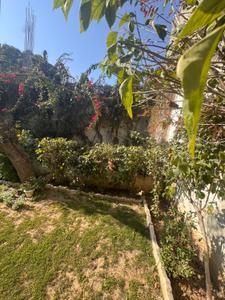 Image of 6000 Sq.ft 4 BHK Independent House for sale in Sector 12, Gurgaon for Rs. 100000000