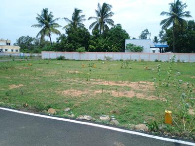 Residential Plot