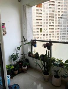 Balcony Image of 680 Sq.ft 1 BHK Apartment / Flat for rent in Amanora Future Towers, Hadapsar Pune for Rs. 28000