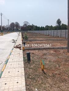 Thyme Park Plot View 2