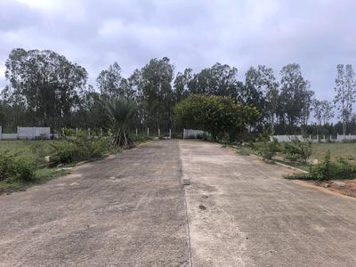 Image of 1800 Sq.ft Residential Plot / Land for sale in Hoskote, Bengaluru for Rs. 5130000