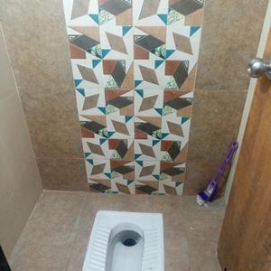 Bathroom Image of 750 Sq.ft 1 BHK Apartment / Flat for rent in Green Paradise, Dahin Nagar Surat for Rs. 11500
