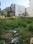 Sector 1, Palam Vihar Plot View 2