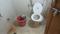 Hemanth mansion Bathroom 1