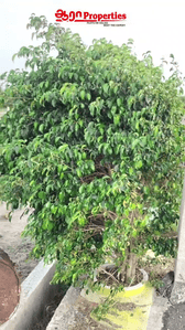 Image of 435 Sq.ft Residential Plot / Land for sale in Pukkulam, Tiruppur for Rs. 340000