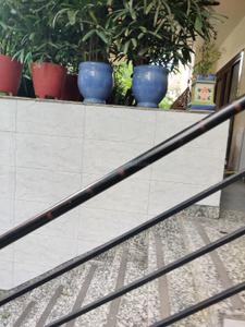Balcony Image of 2200 Sq.ft 3 BHK Builder Floor for sale in Palm Mayfield Garden, Sector 50 Gurgaon for Rs. 31000000