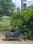Tajganj Plot View 2