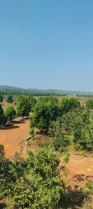 Image of 5000 Sq.ft 1 BHK Farm House for sale in Uthukkottai, Chennai for Rs. 1995000