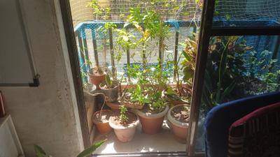 Living Room Image of 645 Sq.ft 1 BHK Apartment / Flat for sale in Sakar Gyananand Green, Sayajipura Vadodara for Rs. 1600000