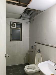 Common Bathroom Image of 909 Sq.ft 2 BHK Apartment / Flat for rent in Lodha Casa Rio, Palava Phase 1 Thane for Rs. 17200