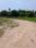 Natures Paradise Internal Roads 1