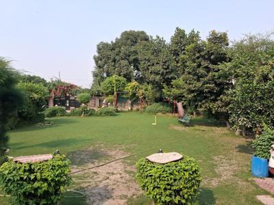 Image of 1500 Sq.ft 2 BHK Villa for sale in Dkrrish Green Beauty Farms, Sector 135, Noida for Rs. 9000000