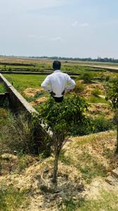Image of 1000 Sq.ft Residential Plot / Land for sale in Bargadwa, Gorakhpur for Rs. 651000
